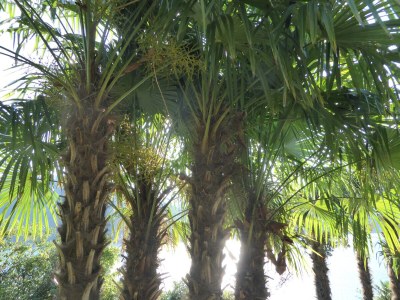 Holiday house Beautiful stone house with a stunning lake view - Outdoor photo 19