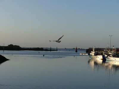 Holiday house Men Meur - Environment photo 35