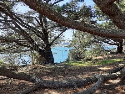 Holiday house Aux temps d'avant - Environment photo 30