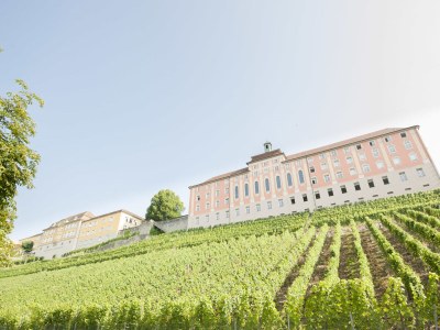 Holiday apartment - No title - - Environment photo 19