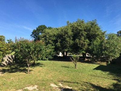 Holiday house Petit Recre - Outdoor photo 5