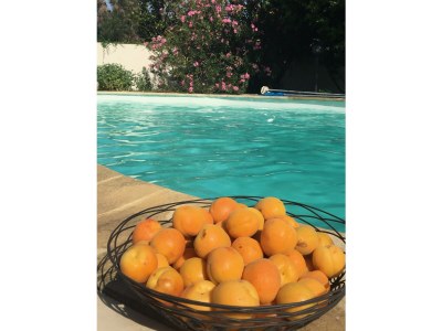 Holiday house Petit Recre - Outdoor photo 6