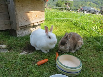 Holiday apartment Watz - Outdoor photo 5