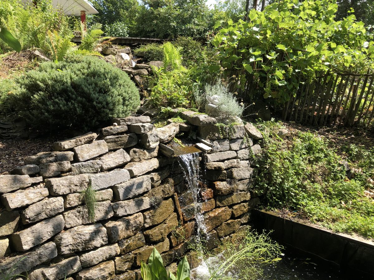 Apartment Green Elephant - Outdoor photo 4