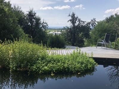 Apartment Green Elephant - Outdoor photo 6