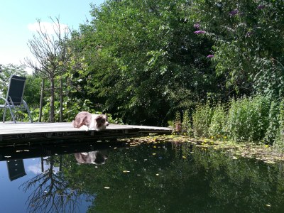 Apartment Green Elephant - Outdoor photo 7