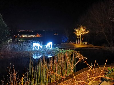 Apartment Green Elephant - Outdoor photo 9