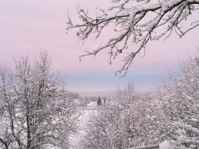 Apartment Green Elephant - Outdoor photo 10