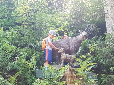 Holiday apartment Harmony Cottage, 1 bedroom - Environment photo 29