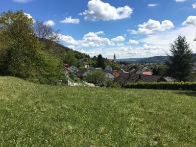 Holiday house Alpine panorama on the Hochrhein **** - Outdoor photo 5