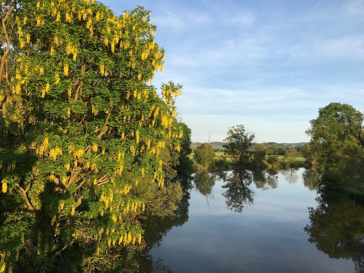 Holiday apartment Mahler-Bungers - Outdoor photo 2