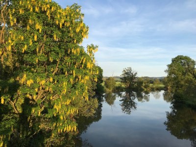 Holiday apartment Mahler-Bungers - Outdoor photo 2