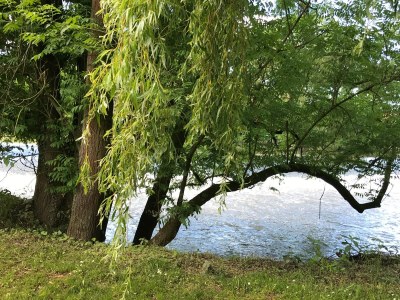 Holiday apartment Mahler-Bungers - Outdoor photo 6