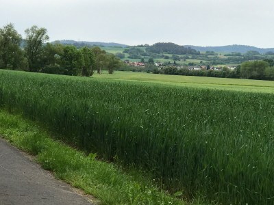 Holiday apartment Mahler-Bungers - Outdoor photo 7