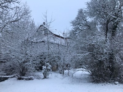 Holiday apartment Mahler-Bungers - Outdoor photo 9