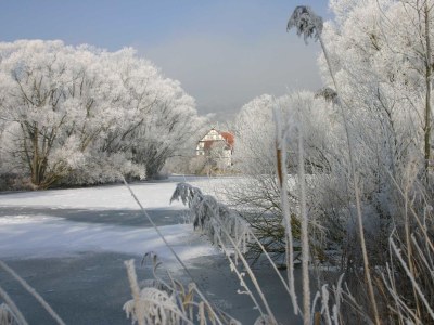 Holiday apartment Mahler-Bungers - Outdoor photo 11