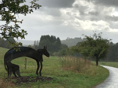 Holiday apartment Mahler-Bungers - Environment photo 29