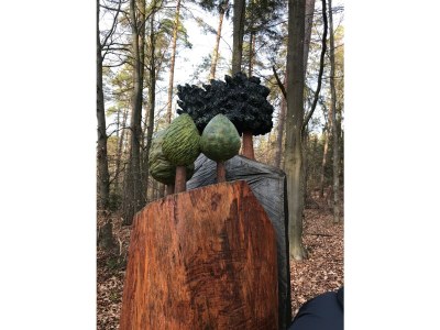 Holiday apartment Mahler-Bungers - Environment photo 31