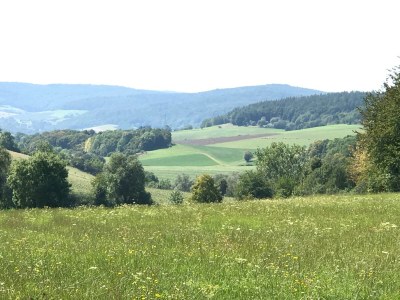Holiday apartment Mahler-Bungers - Environment photo 32