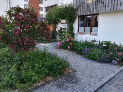 Apartment King in Hard - Apartment