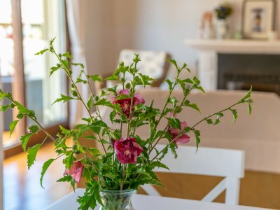 Holiday house Can Clavell - Features photo 21