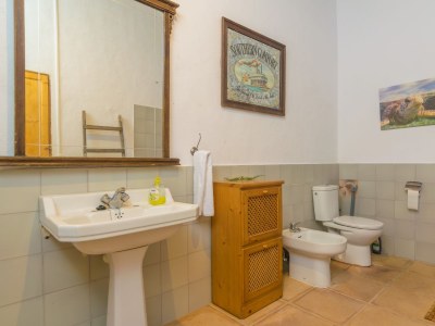 Chalet Son Banus - Features photo 21