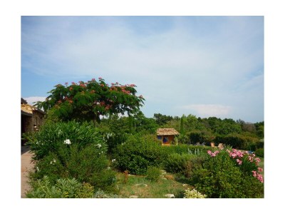 Holiday house with heated pool - Environment photo 39