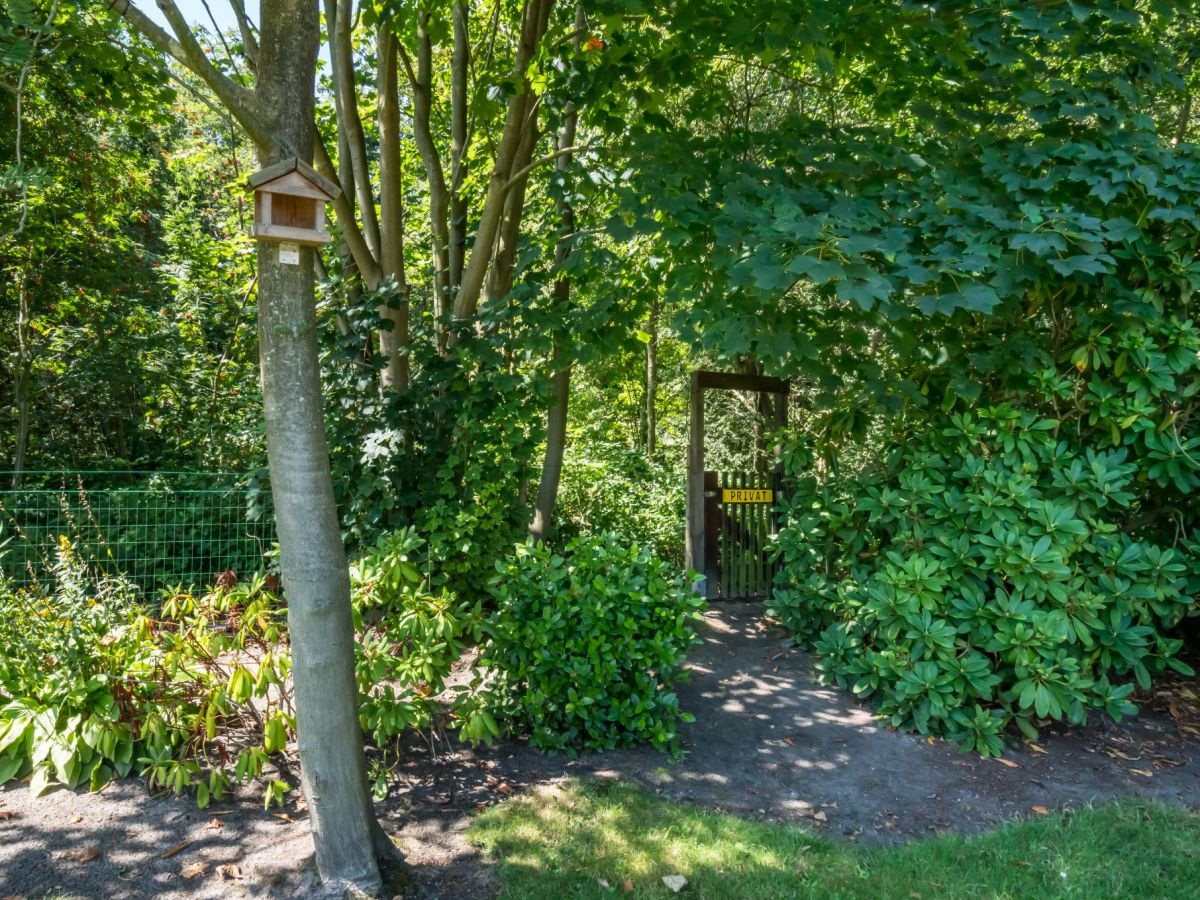 Holiday house Bongerd 51 - Outdoor photo 4