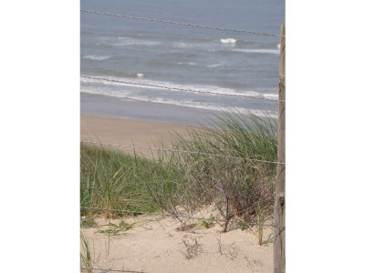 Holiday apartment Bungalow Type Cypress XS - Environment photo 14