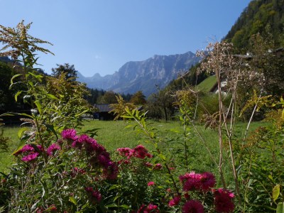 Holiday apartment Mountain loft Ramsau - Outdoor photo 7