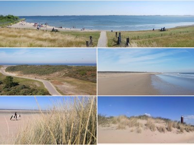 Holiday house Deichperle Herkingen - Environment photo 29