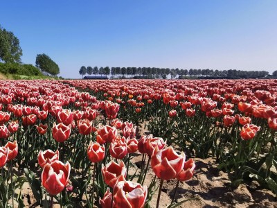 Holiday house Deichperle Herkingen - Environment photo 32