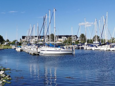 Holiday house Deichperle Herkingen - Environment photo 34