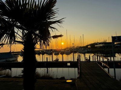 Holiday house Deichperle Herkingen - Environment photo 35