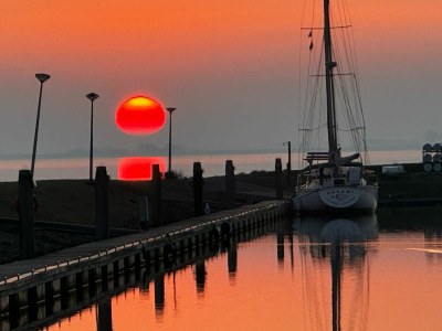 Holiday house Deichperle Herkingen - Environment photo 36