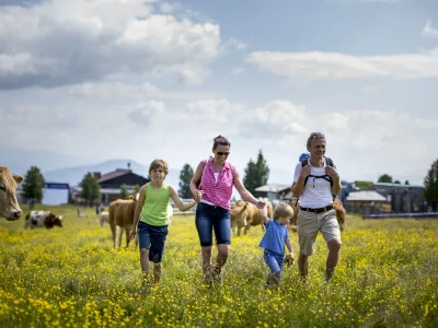 Chalet Luxury Chalet Kreischberg 11a - Environment photo 18