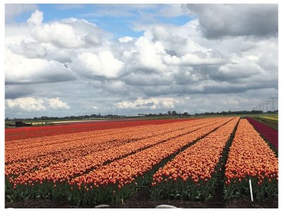 Holiday house De Droom II - Environment photo 26