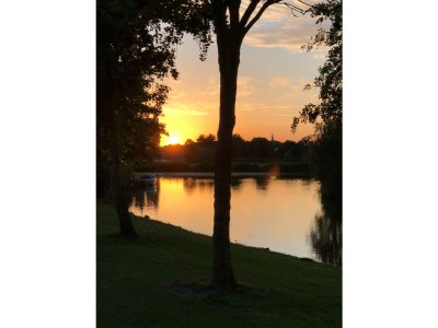 Holiday house De Droom II - Environment photo 27