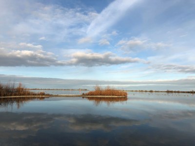 Holiday house De Droom II - Environment photo 29