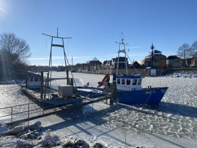 Holiday house De Droom II - Environment photo 36