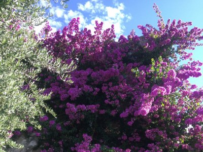 Villa Villa Rachele - Outdoor photo 10