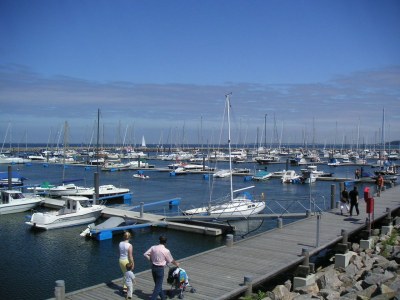 Holiday apartment "Am Stadtwald" - Environment photo 20