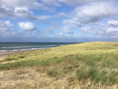 Holiday house De Linden - Environment photo 39