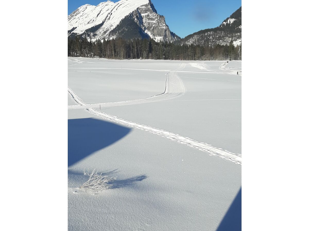 Holiday apartment Kanistraum Apartment - Outdoor photo 5