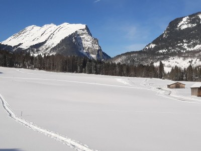 Holiday apartment Kanistraum Apartment - Outdoor photo 6