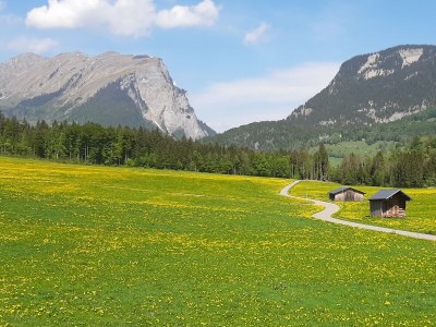 Holiday apartment Kanistraum Apartment - Environment photo 38