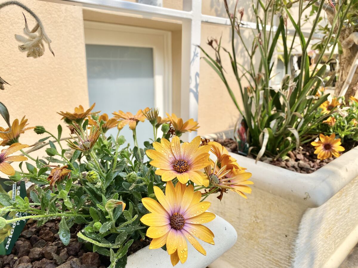 Holiday apartment Casa Cortili - Outdoor photo 2