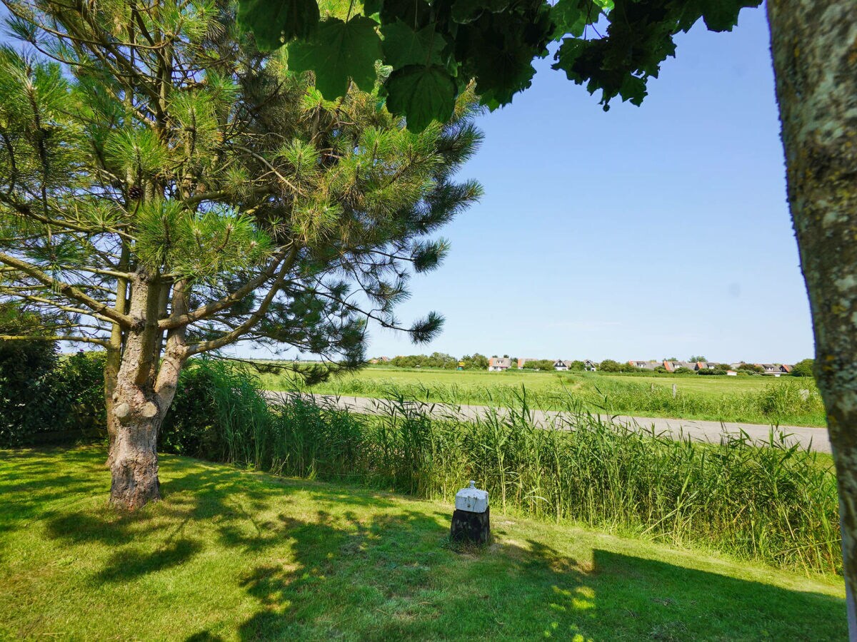 Holiday house De Blenck 13 - Outdoor photo 4