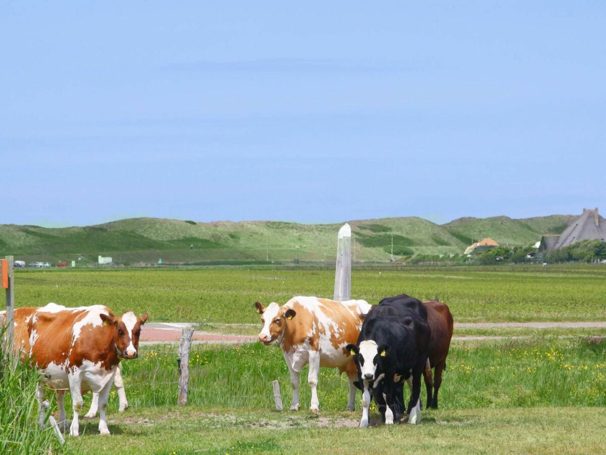Holiday house De Blenck 13 - Outdoor photo 5