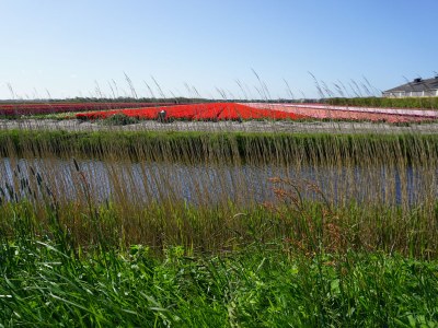 Holiday apartment Residence Juliana 41 - Environment photo 15